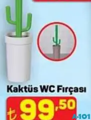 KAKTÜS WC FIRÇASI fiyat ve kampanya bilgisi